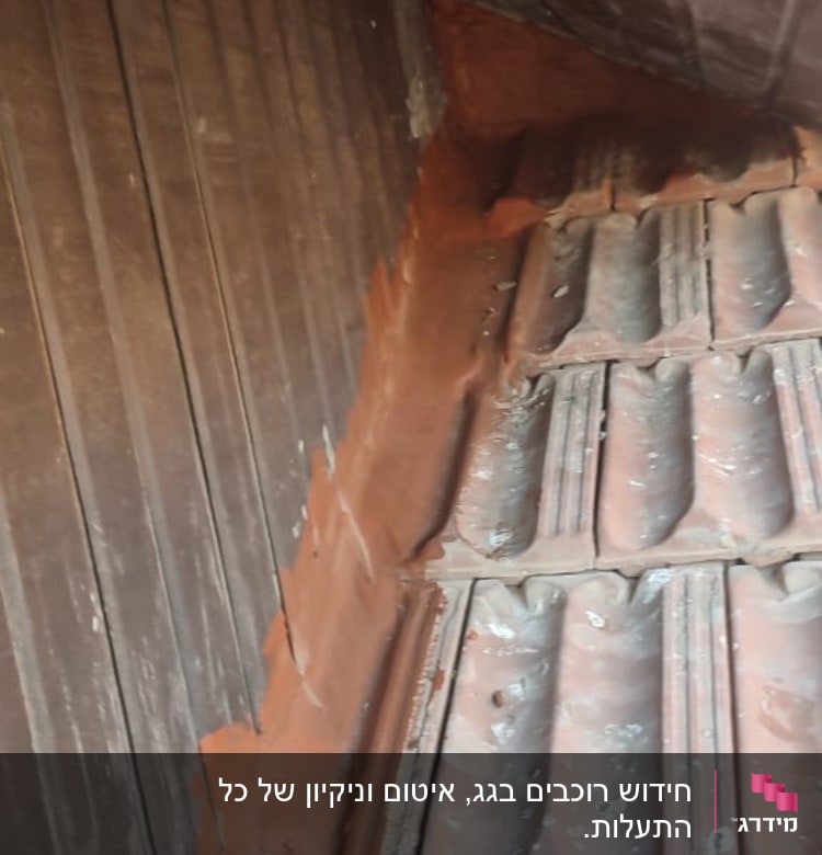 חידוש רוכבים בגג, איטום וניקיון של כל התעלות.